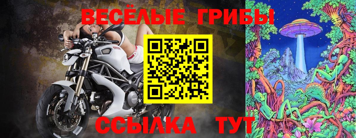 Рославль  Псилоцибиновые грибы Cubensis  Вход с VPN 